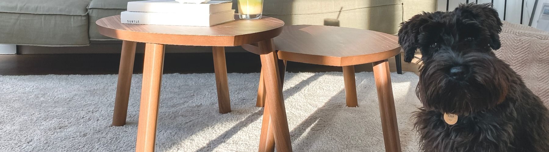 How to get pet hair out of your carpet